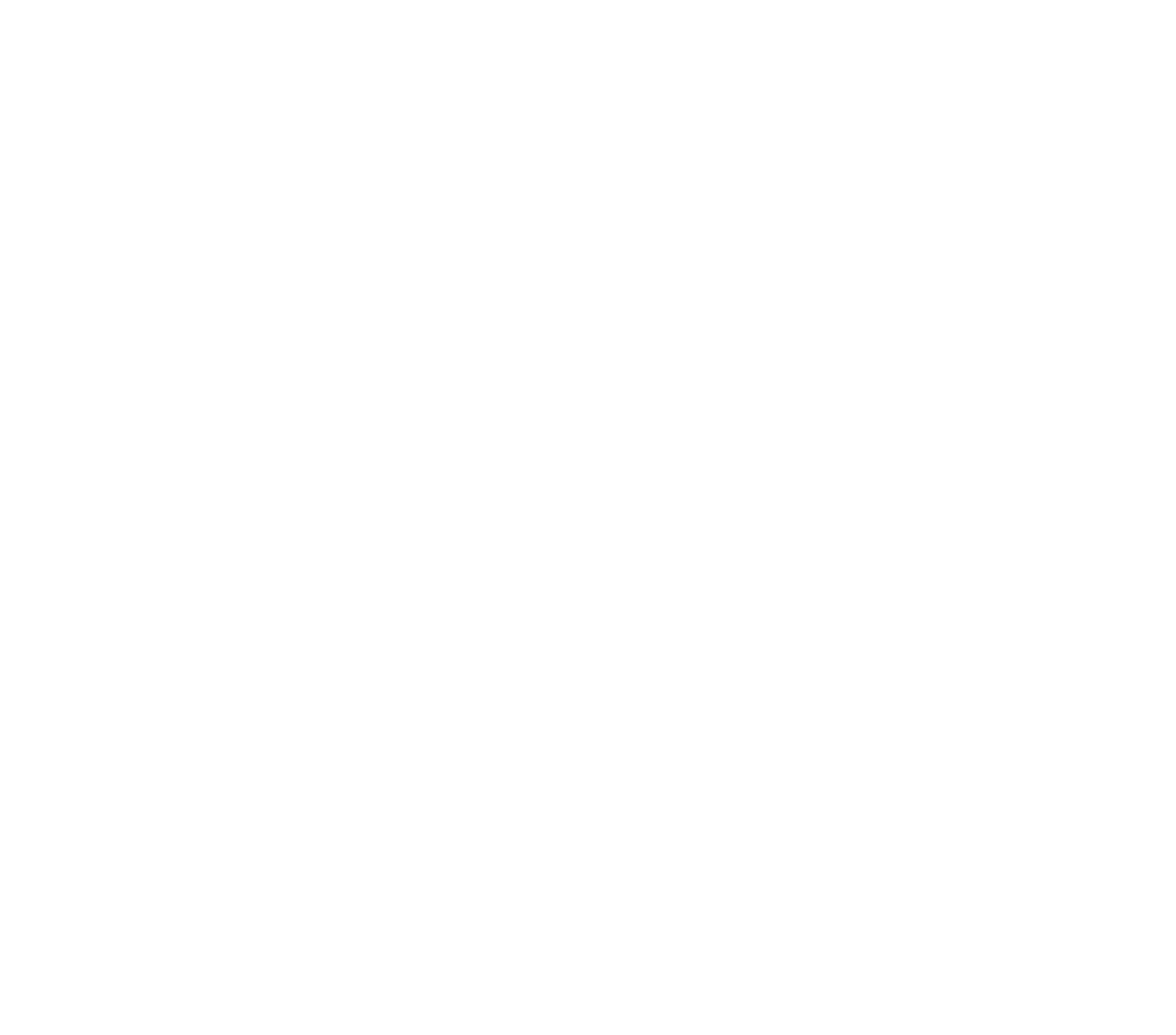 bizdojo-dark logo